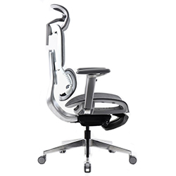 Chaise Ergonomique